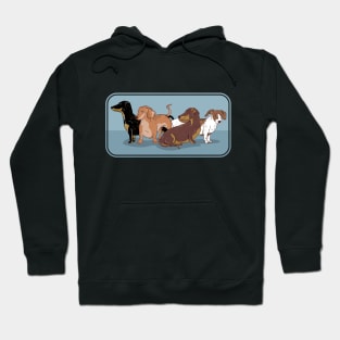 Dachshund DOGS Hoodie